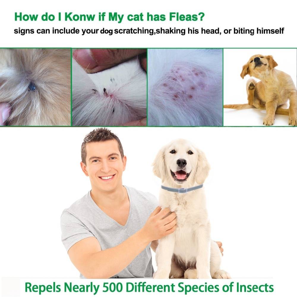 Waterproof Anti-Flea Pet Collar Waterproof Anti-Flea Pet Collar