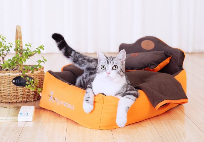 Pet King Bed 3 Pcs Set